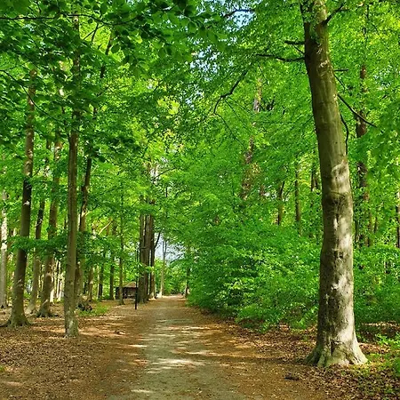 Duenengras Apartmán