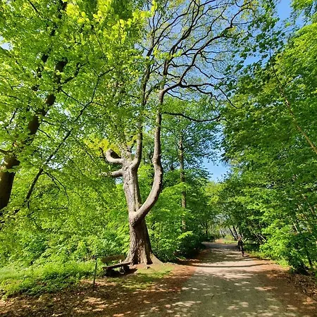 Apartmán Duenengras Graal-Mueritz