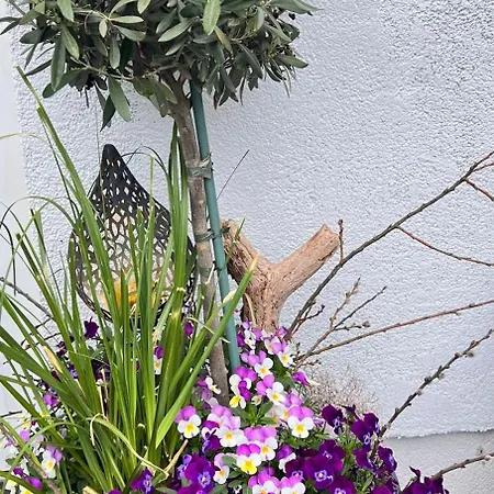 Duenengras Apartmán Graal-Mueritz