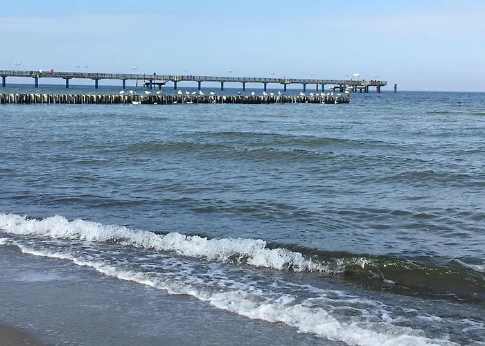 Duenengras Lägenhet