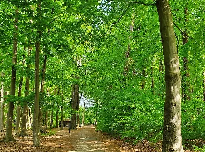 Duenengras Lägenhet