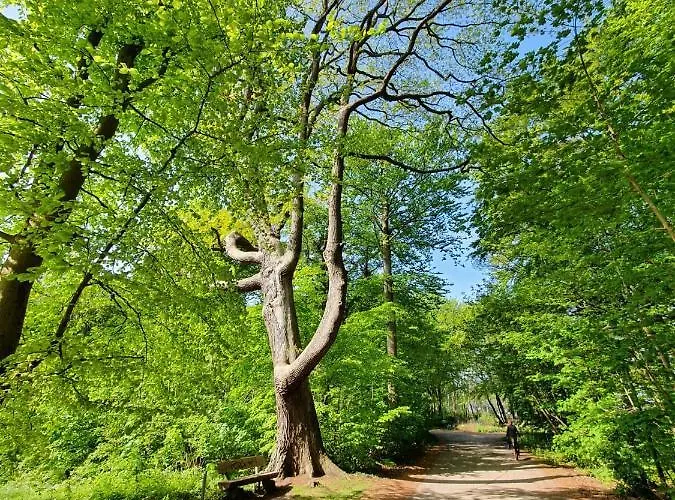 Lägenhet Duenengras Graal-Mueritz