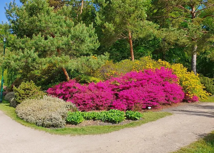 Duenengras * Graal-Mueritz