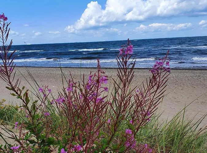 Lägenhet Duenengras *