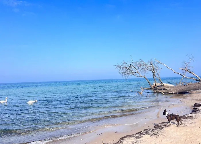 Duenengras Lägenhet